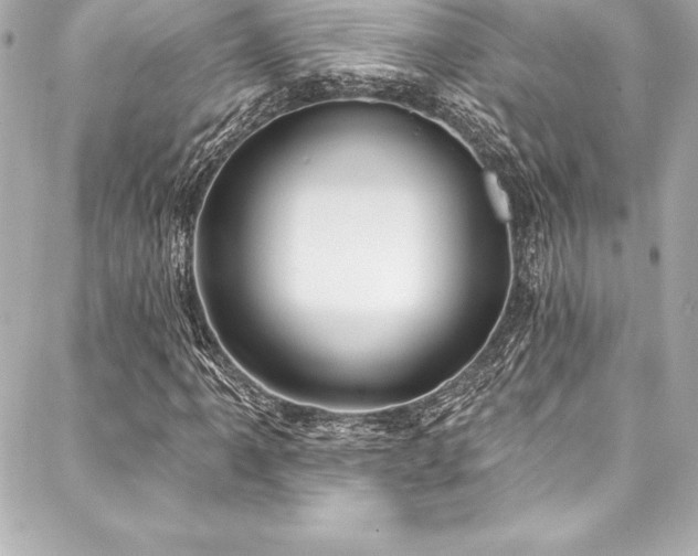 X0000088041061200705111225