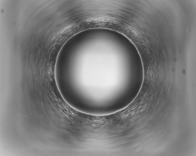 X0000088041062200705111225