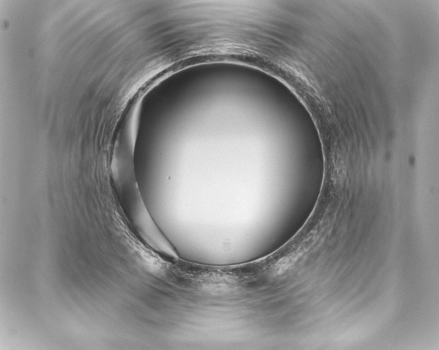 X0000088041073200705111225