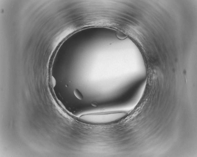 X0000088041087200705111225