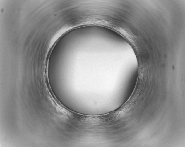 X0000088041094200705111225