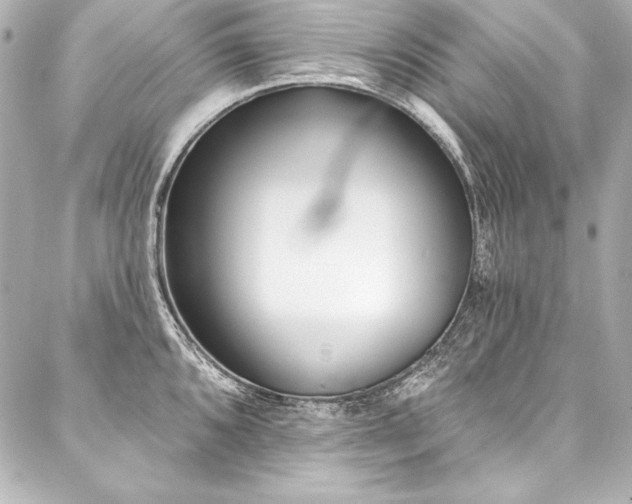 X0000088041096200705111225