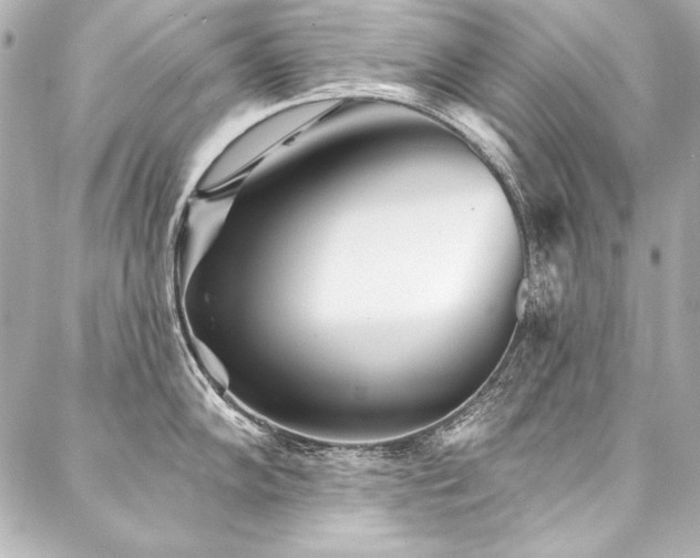 X0000088041102200705111225