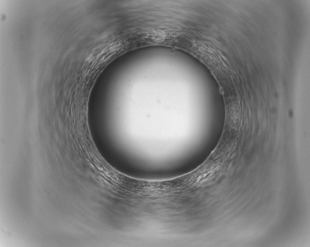 X0000088041105200705111224