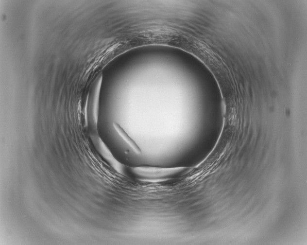X0000088041108200705111224