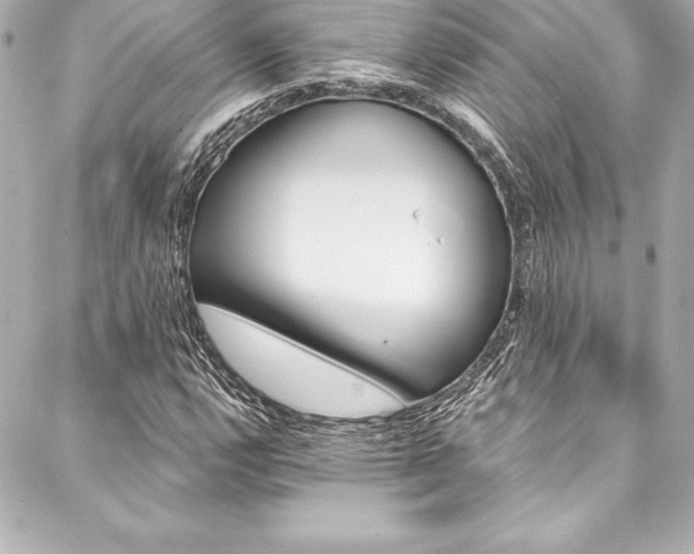X0000088041112200705111224