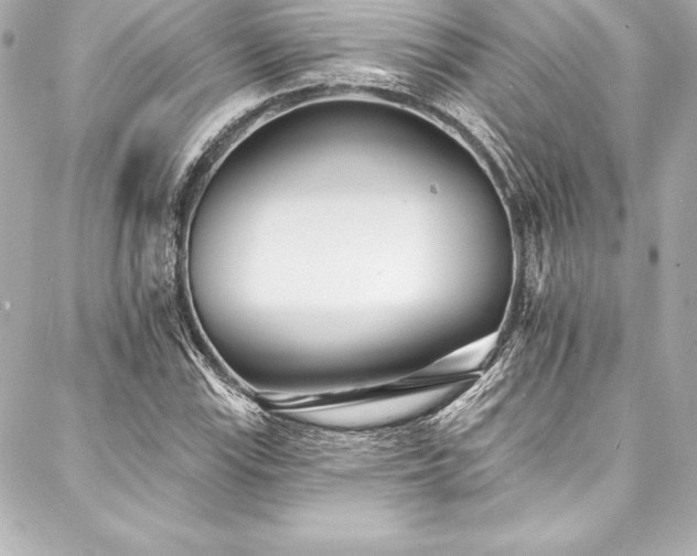 X0000088041115200705111224