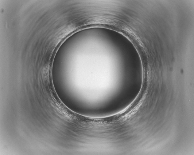 X0000088041121200705111224