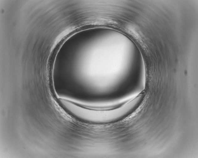 X0000088041122200705111224