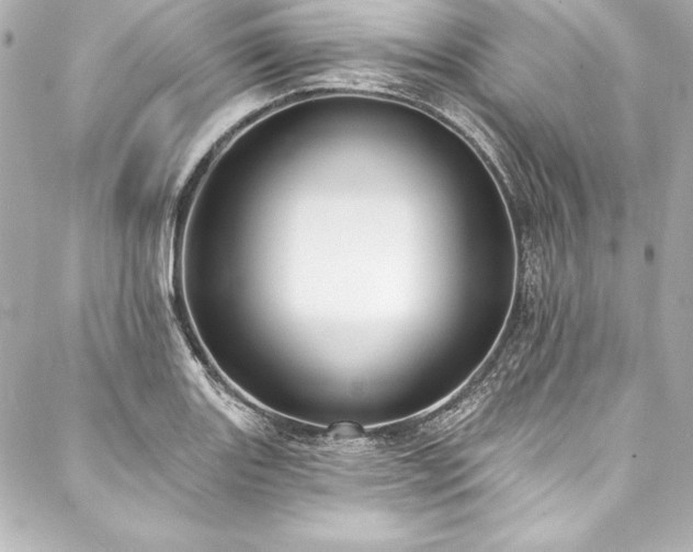 X0000088041131200705111224