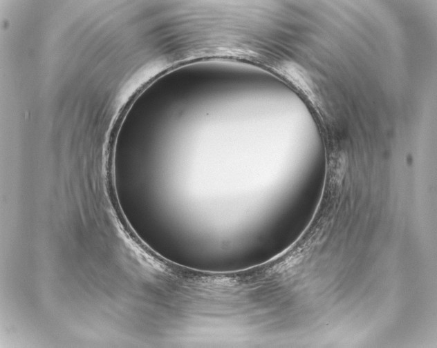 X0000088041135200705111224