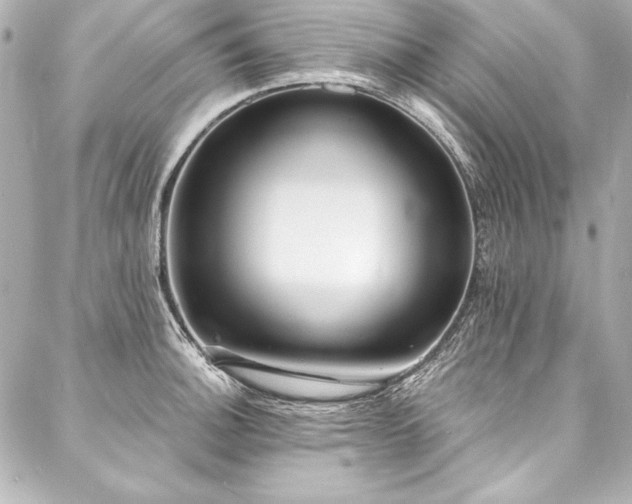 X0000088041140200705111224