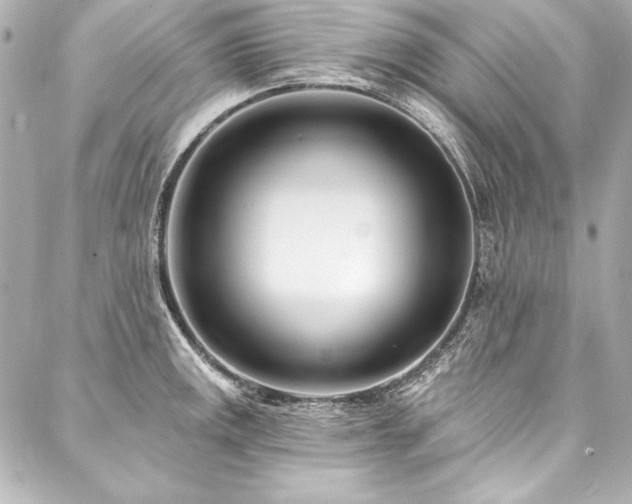 X0000088041141200705111224