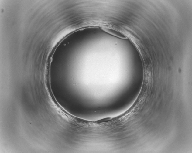 X0000088041147200705111224