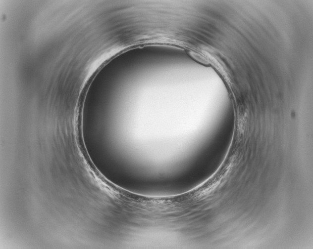 X0000088041149200705111224