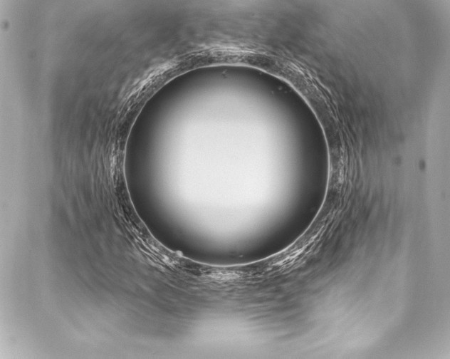 X0000088041157200705111224