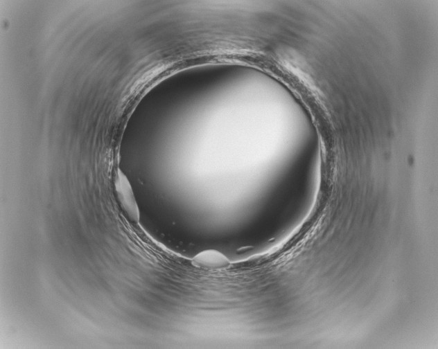 X0000088041169200705111223