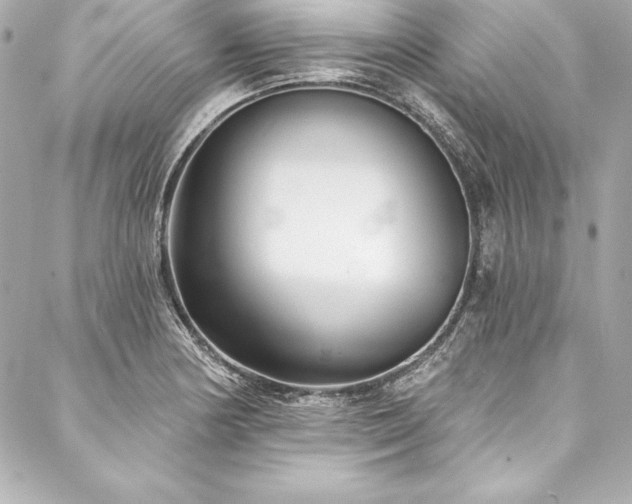 X0000088041178200705111223