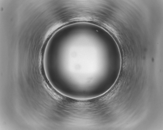 X0000088041179200705111223