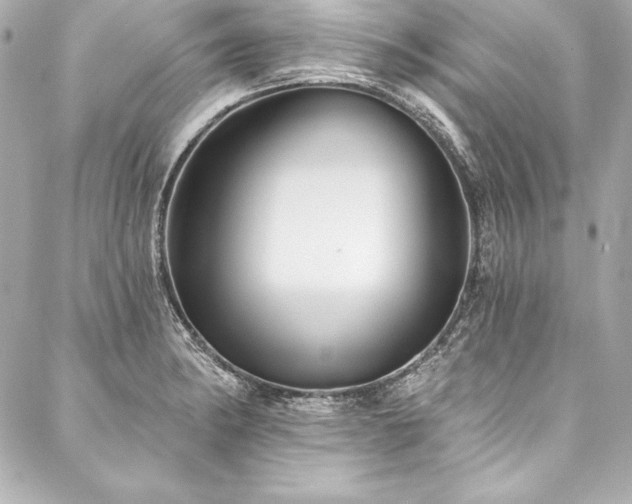 X0000088041182200705111223