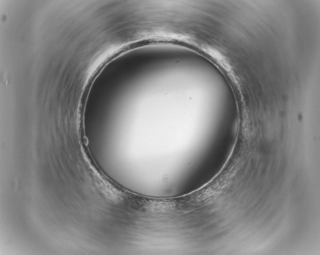 X0000088041183200705111223