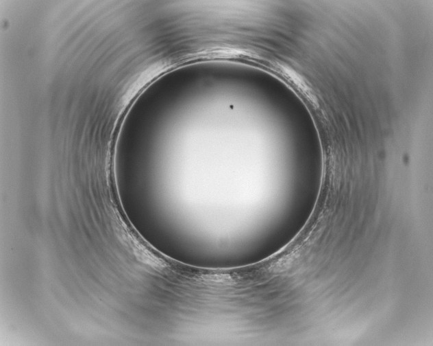 X0000088041186200705111223