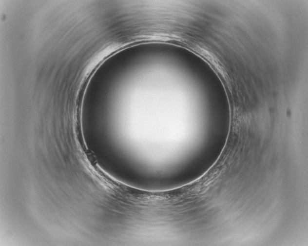 X0000088041187200705111223