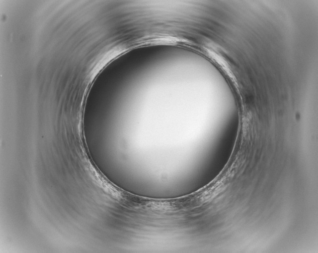 X0000088041194200705111223
