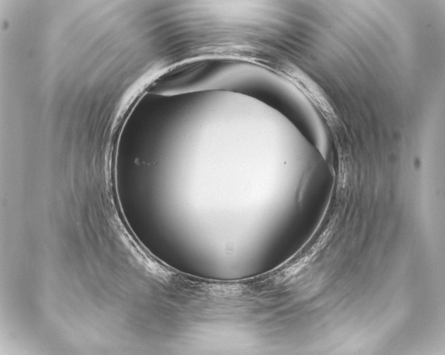 X0000088041196200705111223