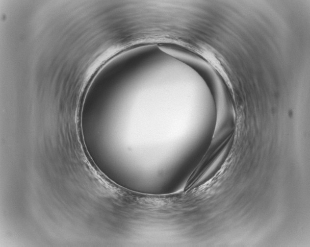 X0000088041197200705111223