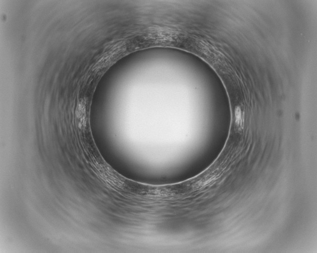 X0000088041203200705111222