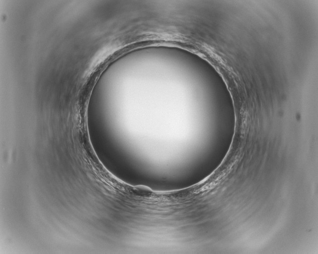 X0000088041215200705111222