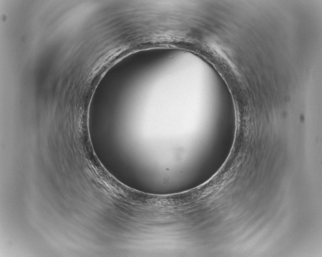X0000088041217200705111222