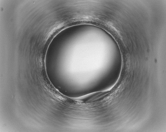 X0000088041218200705111222