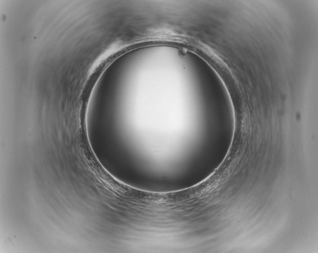 X0000088041222200705111222