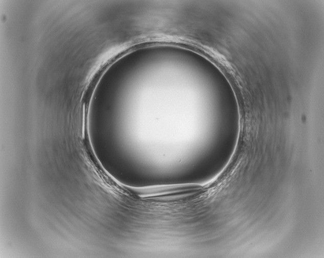 X0000088041223200705111222