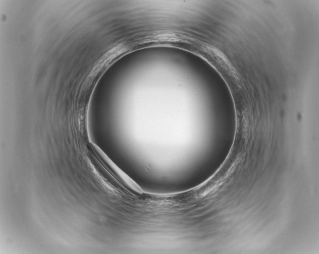 X0000088041225200705111223