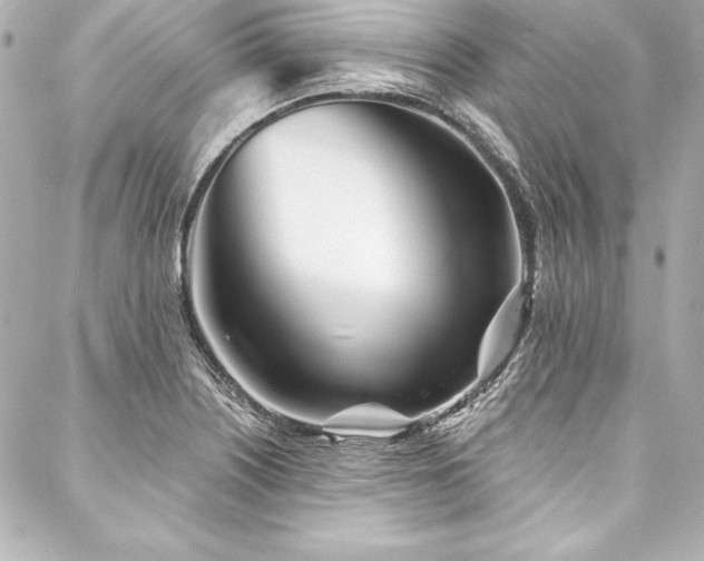 X0000088041226200705111223