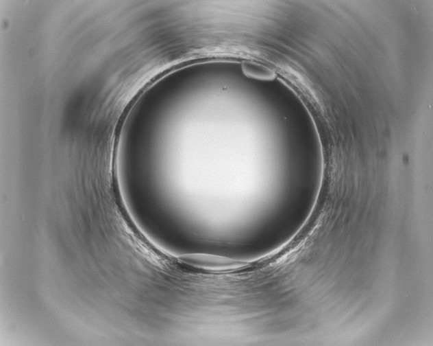 X0000088041228200705111223