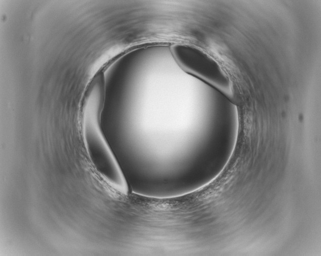 X0000088041230200705111223