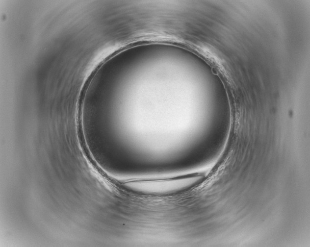 X0000088041231200705111223