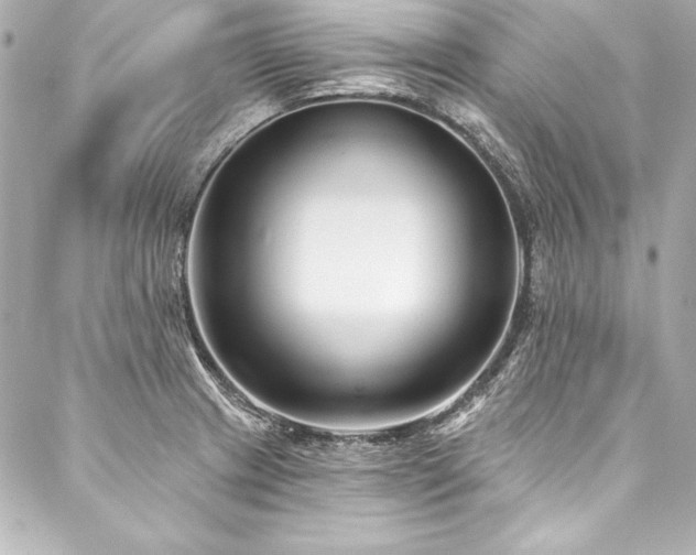 X0000088041233200705111223