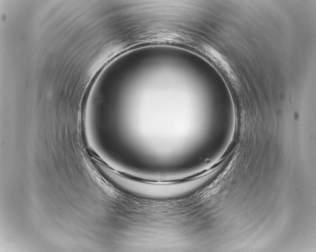 X0000088041234200705111223
