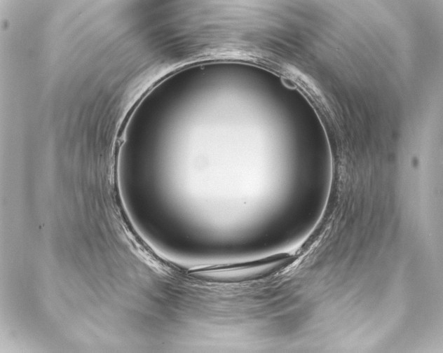 X0000088041236200705111223