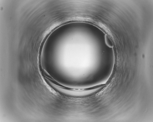 X0000088041237200705111223