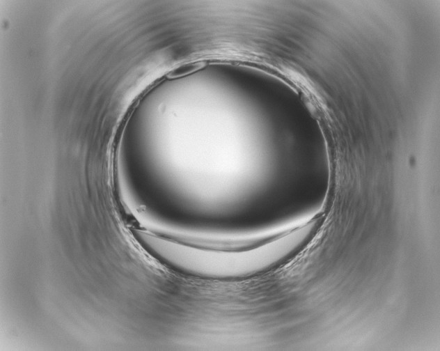 X0000088041238200705111223