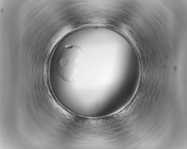 X0000088041243200705111223