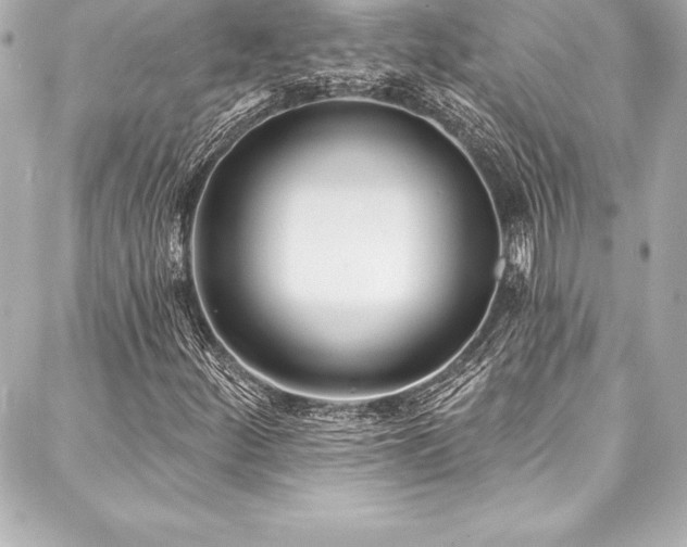 X0000088041252200705111222