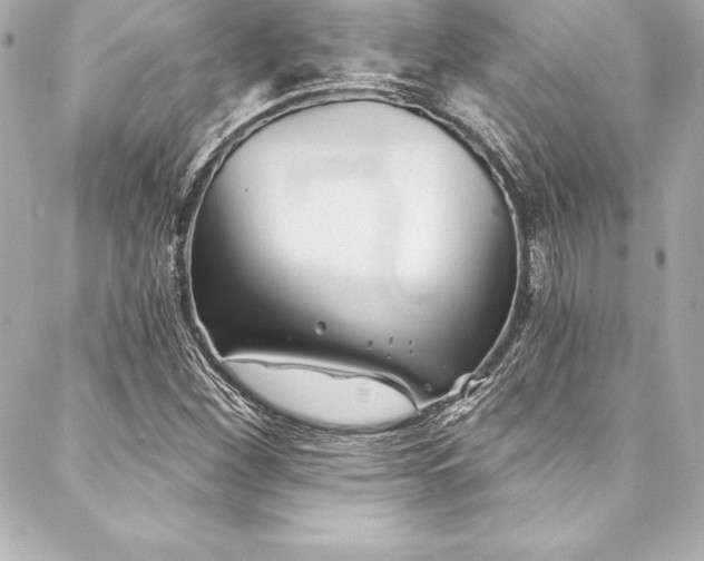 X0000088041260200705111222