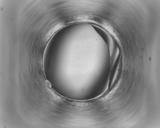 X0000088041289200705111221